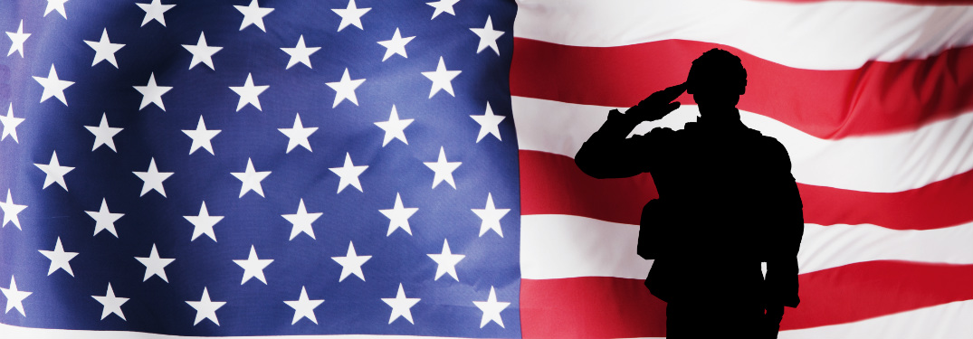 Silhouette of a saluting soldier in front of a massive American flag.