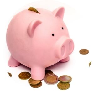 Piggy Bank and Money on a White Background